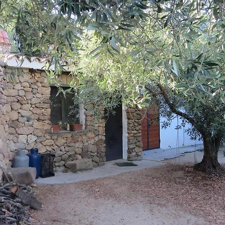 Casa In Campagna 호텔 도르갈리 외부 사진