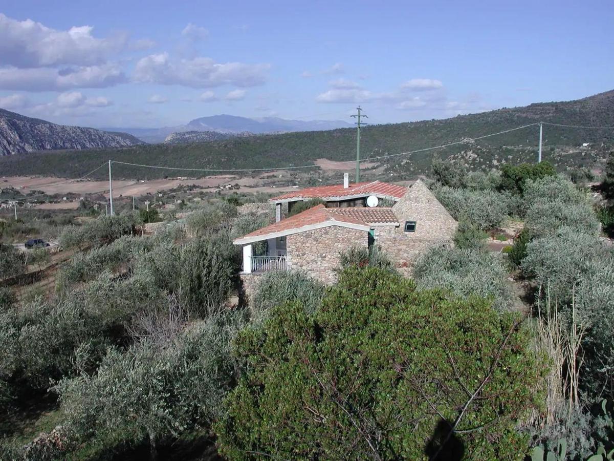 Casa In Campagna 호텔 도르갈리 외부 사진