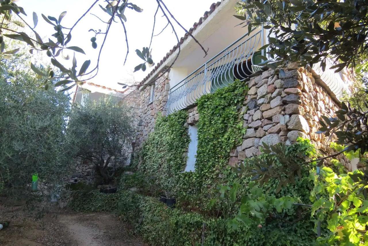 Casa In Campagna 호텔 도르갈리 외부 사진