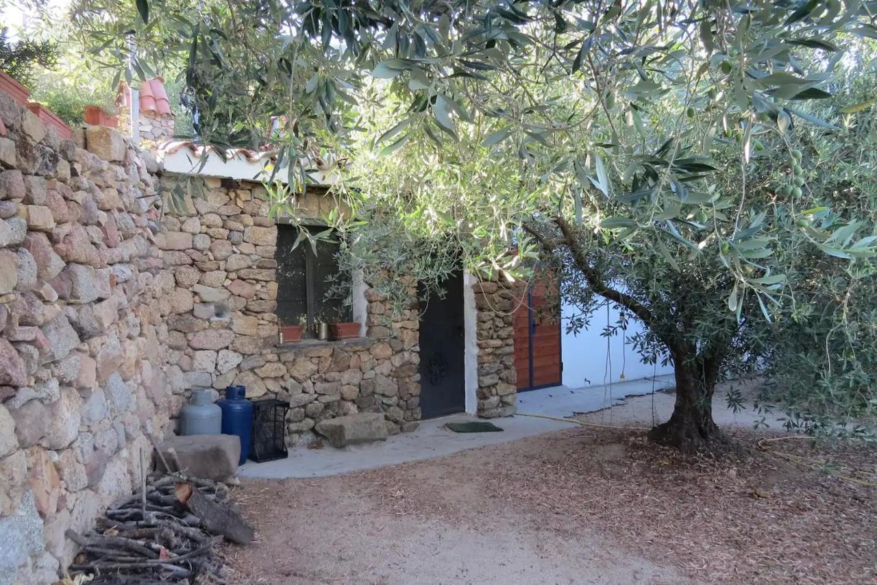 Casa In Campagna 호텔 도르갈리 외부 사진