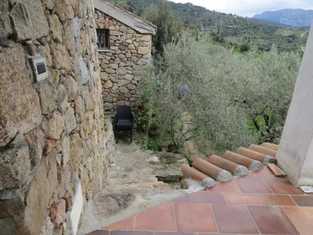 Casa In Campagna 호텔 도르갈리 외부 사진