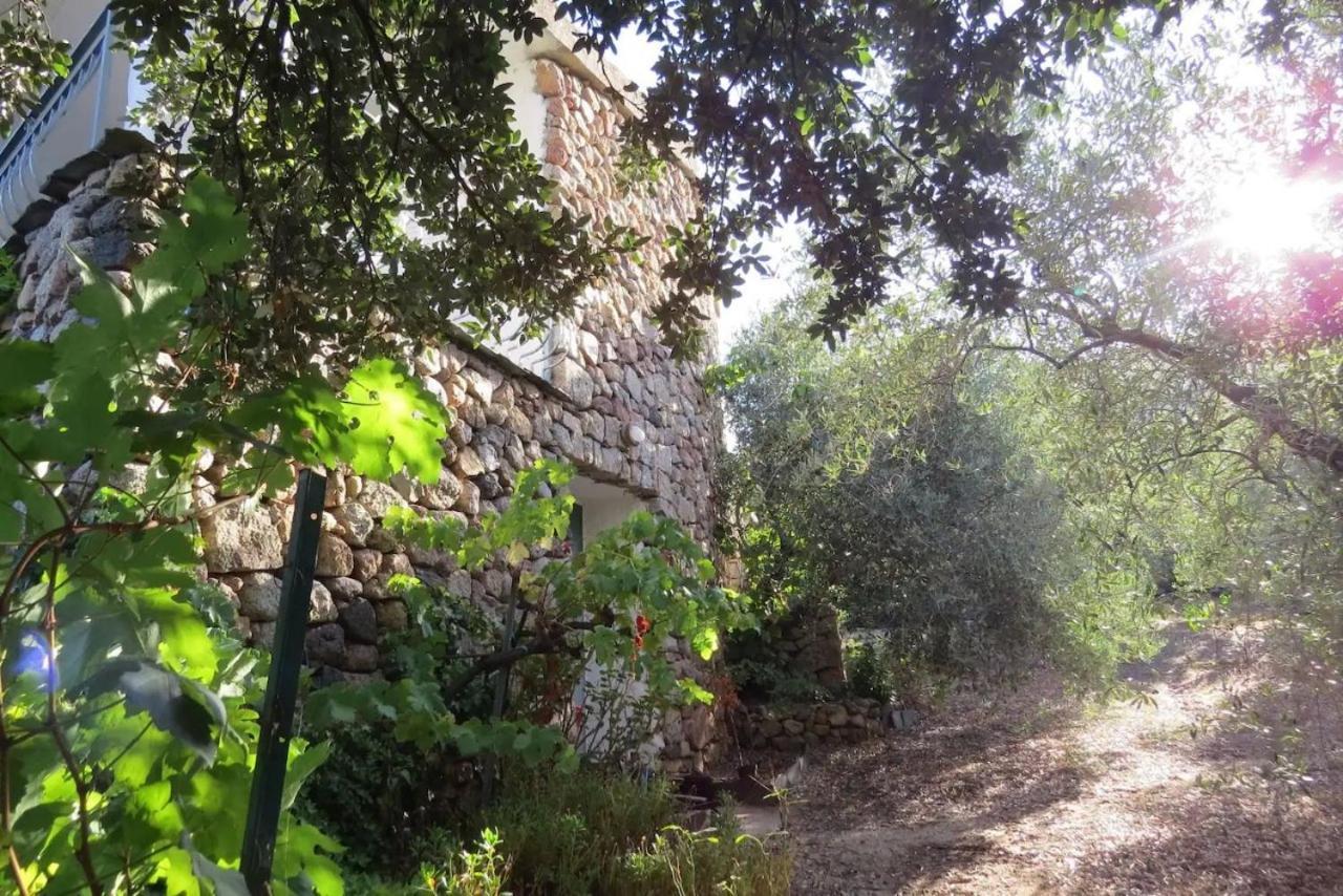 Casa In Campagna 호텔 도르갈리 외부 사진
